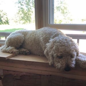 Meet your Posher, Christine